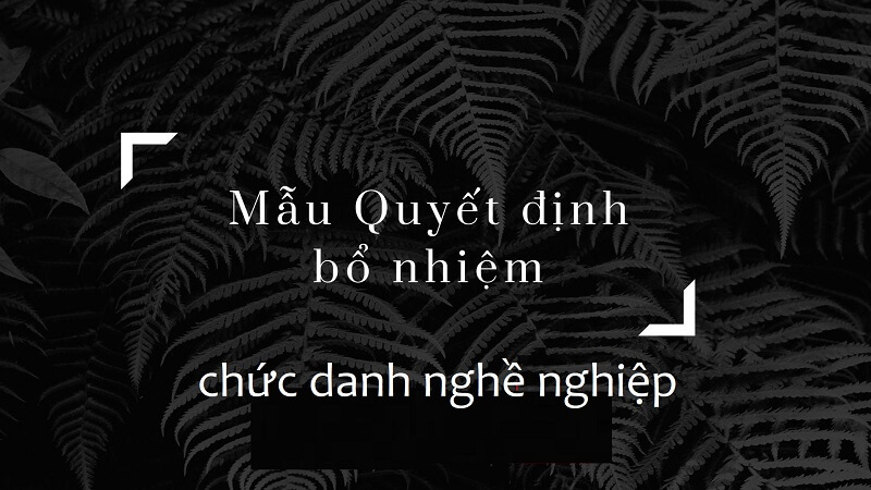 Soạn mẫu quyết định bổ nhiệm về chức danh nghề nghiệp