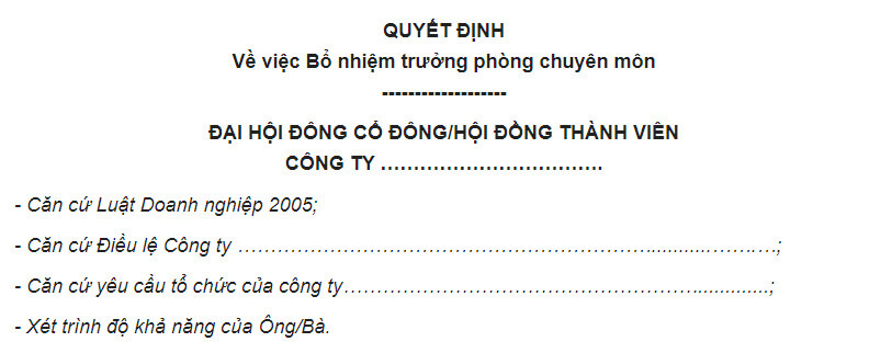 Các căn cứ mà quyết định có thể dựa vào