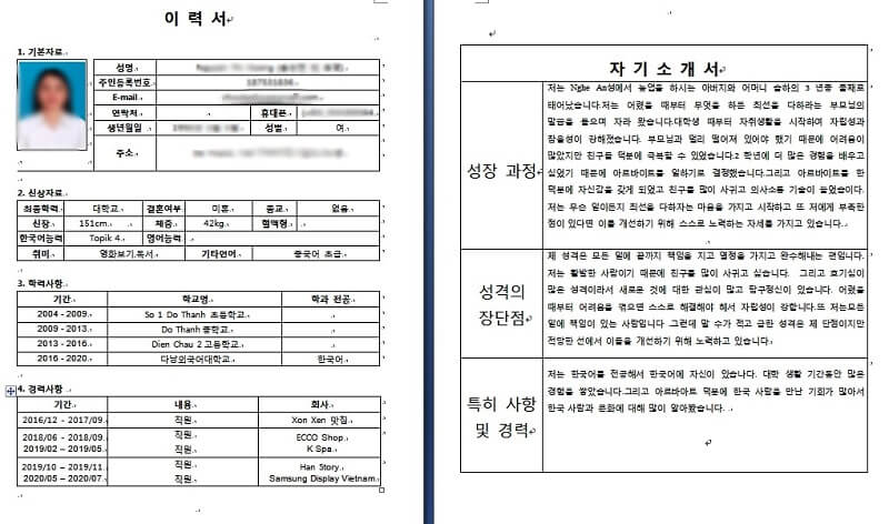Mẫu sơ yếu lý lịch bằng tiếng Hàn Quốc bao gồm các nội dung cơ bản