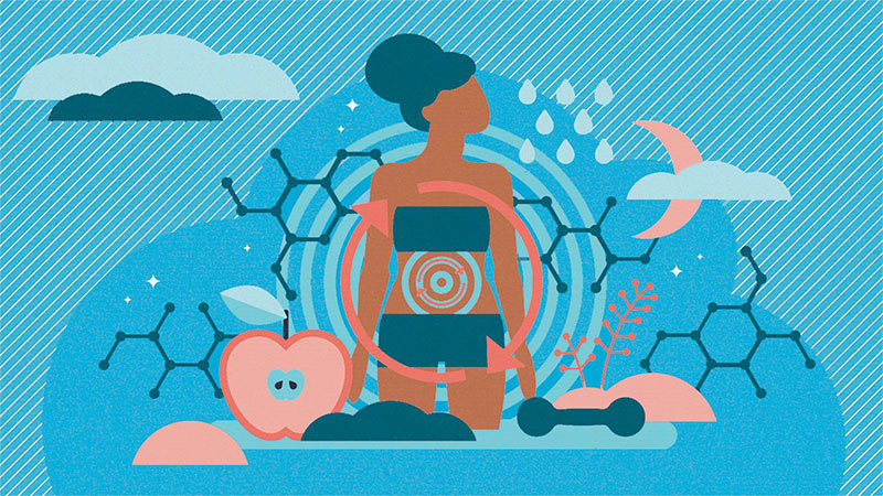 Các yếu tố ảnh hưởng đến metabolism