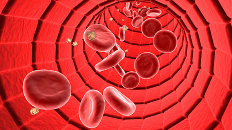 Cách tăng khả năng trao đổi chất