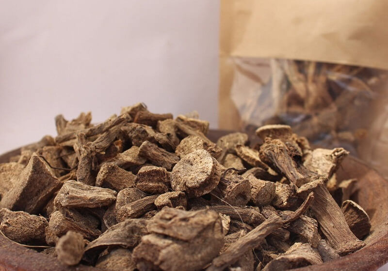 Mộc hương dùng để trị bệnh