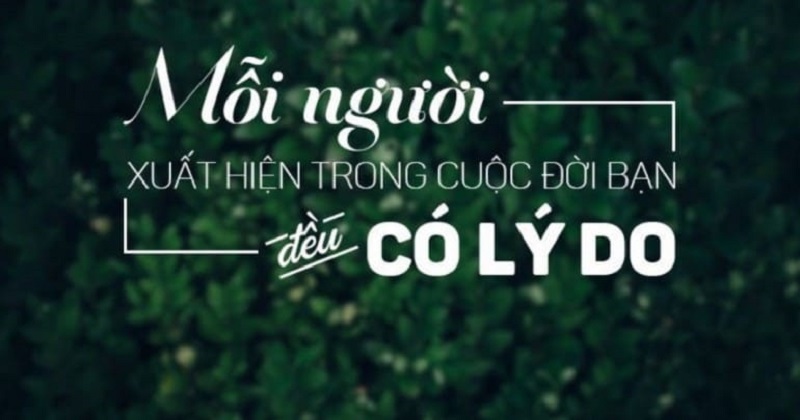 Mỗi người xuất hiện đều có lý do