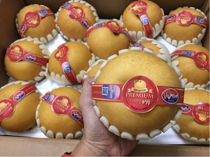Một số lưu ý khi mua lê Hàn Quốc