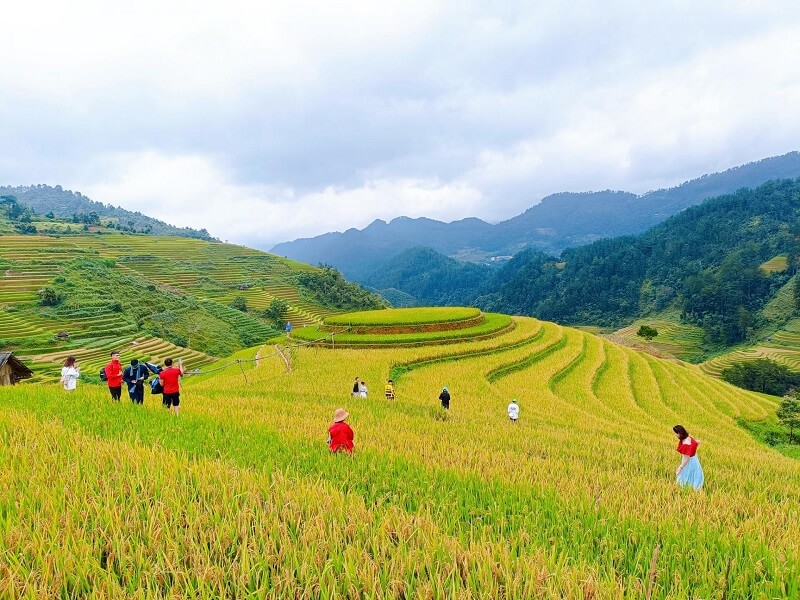 Mùa màng bội thu sẽ được ăn mừng vào Tết Đoan Ngọ