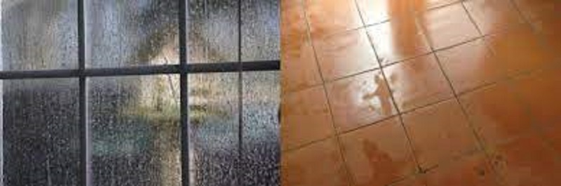 Dấu hiệu nhận biết