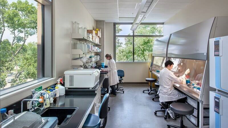 Đa dạng các vị trí nghề nghiệp để lựa chọn phù hợp 