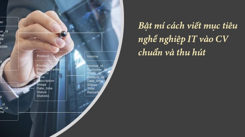 Tham khảo mẫu tiêu điểm nghề nghiệp CNTT