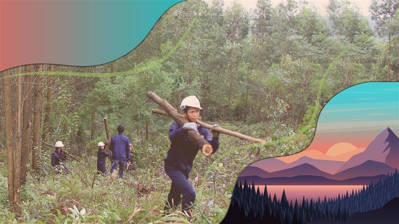 Kinh nghiệm trình bày mục tiêu nghề nghiệp ngành môi trường