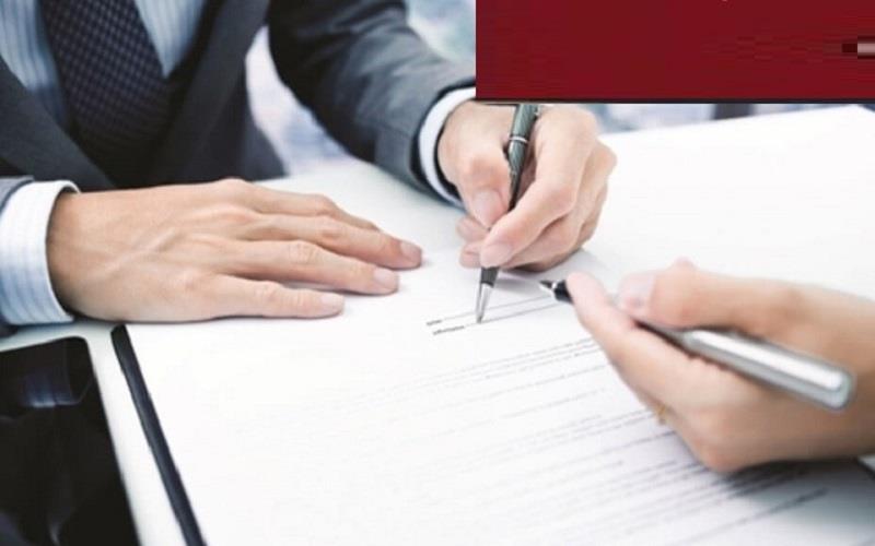 Mượn hồ sơ đi làm - ai là người được lợi?