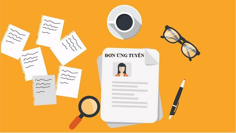 Tìm hiểu và nắm bắt bố cục mẫu đơn ứng tuyển Techcombank