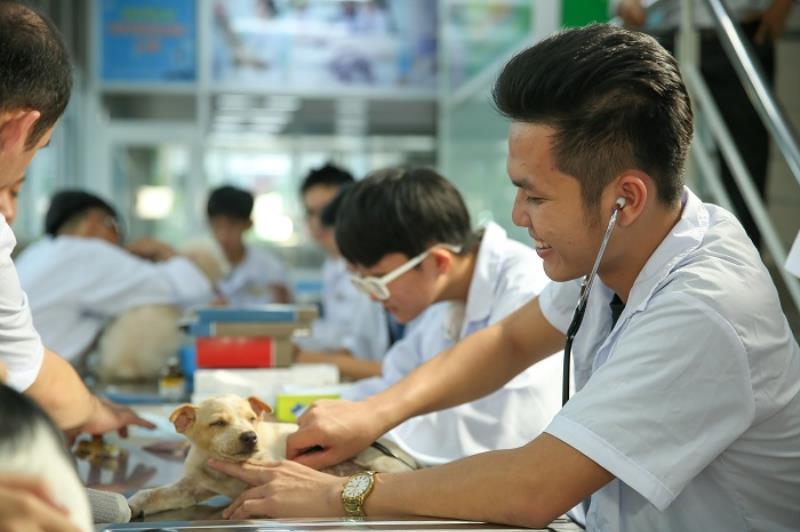 Luôn nâng cao trình độ chuyên ngành cho bác sĩ thú y