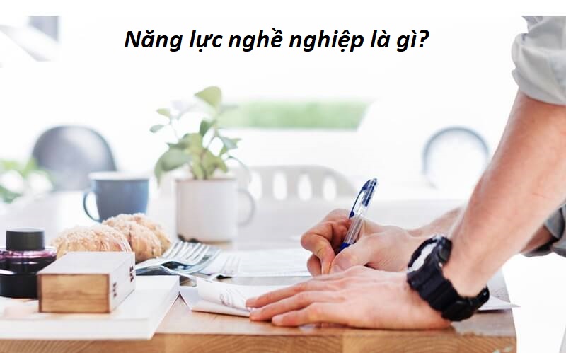 Năng lực nghề nghiệp là gì