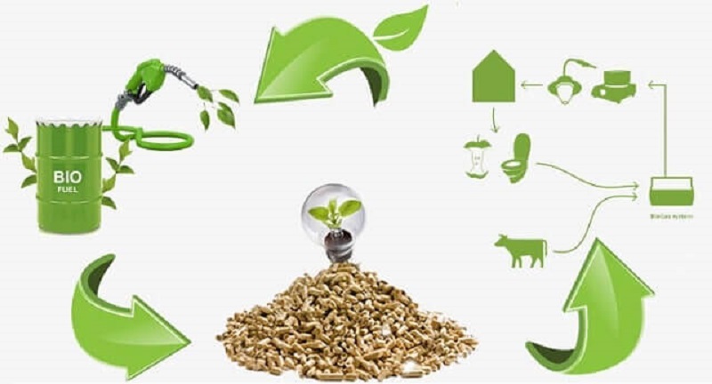 năng lượng sinh khối