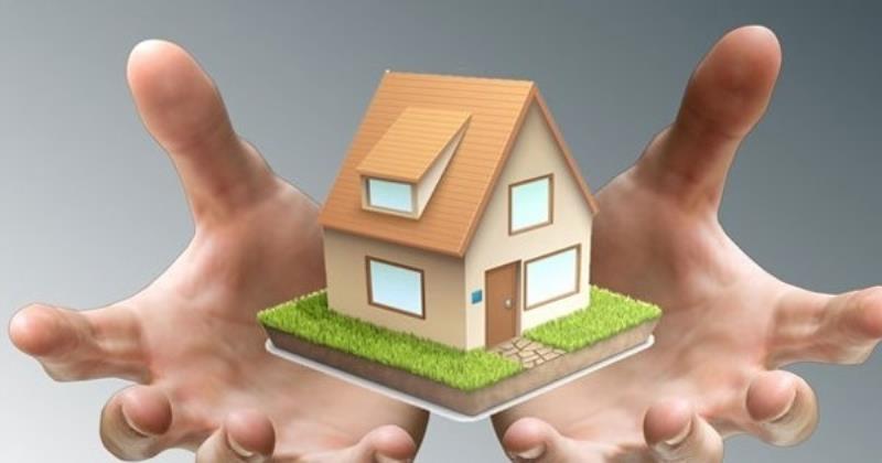 Bạn cần nêu rõ lý do bản thân viết đơn này