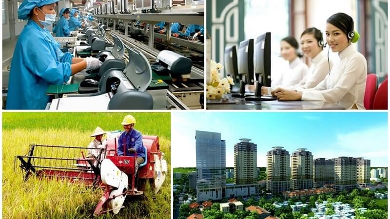 Những môi trường làm việc của ngành kinh tế gia đình