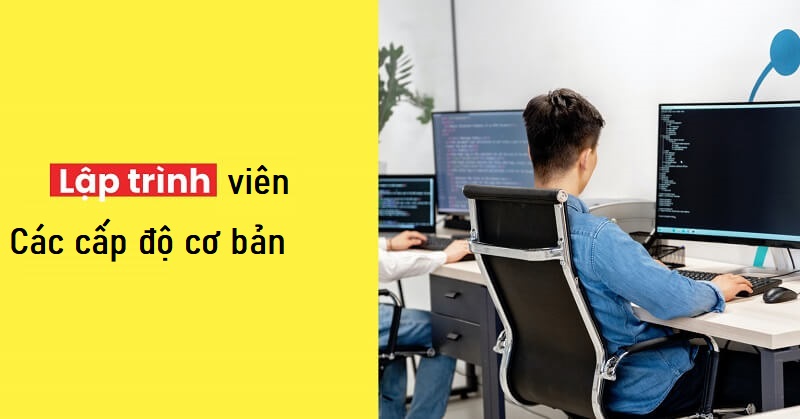 Lập trình viên - các cấp độ cơ bản