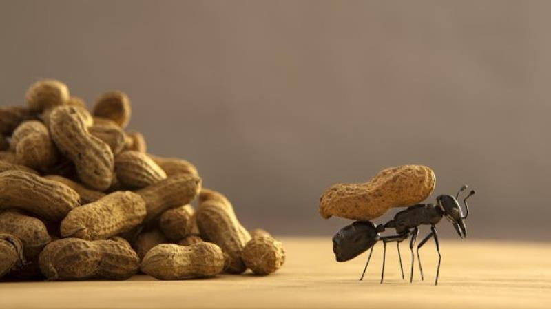 Người bản lĩnh luôn kiên định với nguyên tắc sống của mình