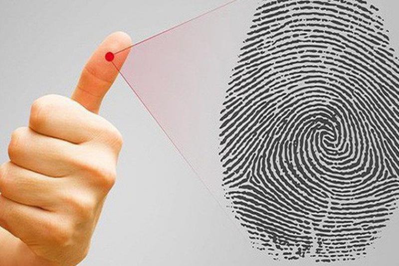 Người có 1 hoa tay có tính cách ra sao