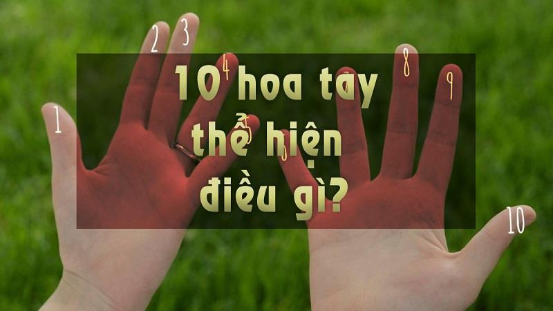 Đoán tính cách cho người có 10 hoa tay