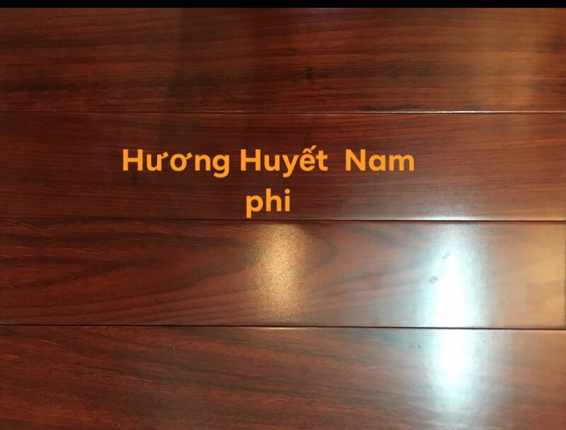 Hương Huyết Nam Phi