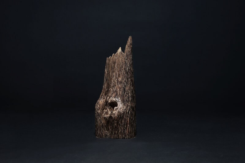 Khám phá những thông tin thú vị về Kỳ Nam