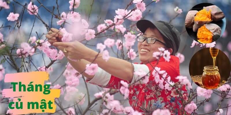 Nguồn gốc của tên gọi tháng củ mật