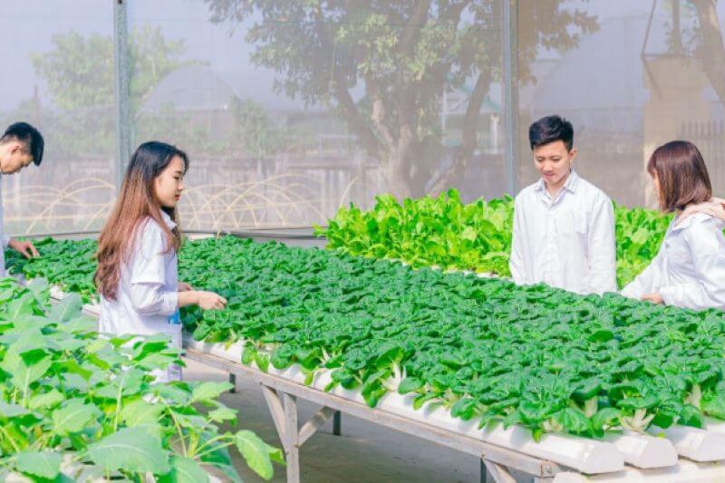  Đào tạo nguồn nhân lực chất lượng cao