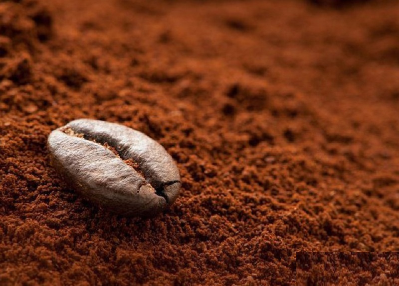 Nguyên liệu chế biến