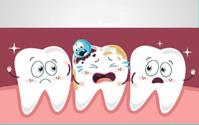 Sự tác động của các axit