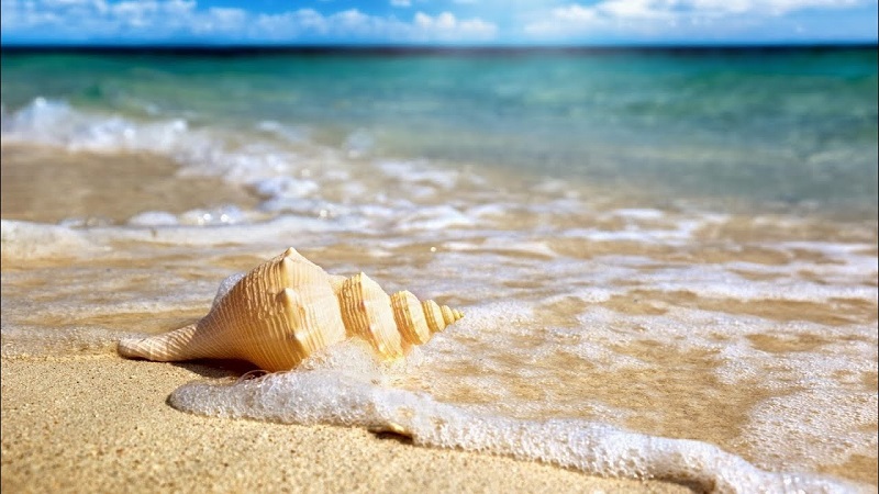 Nguyên nhân xảy ra thuỷ triều