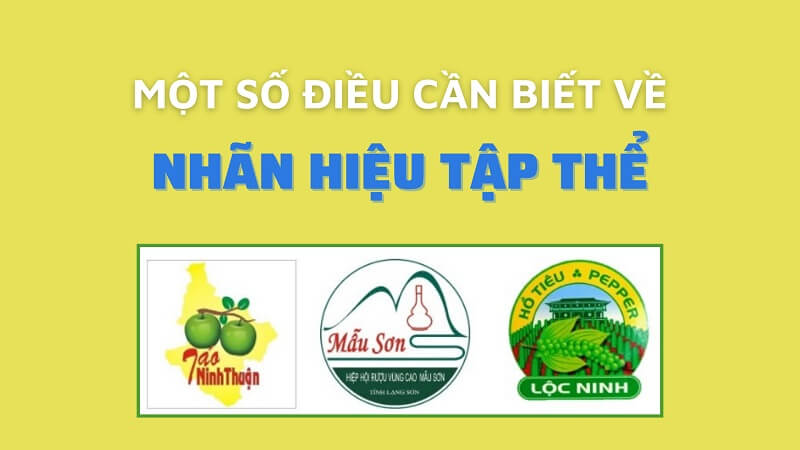 Tổng quan các nội dung liên quan đến nhãn hiệu tập thể
