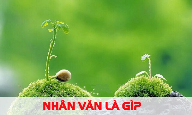 Bạn hiểu nhân văn nghĩa là gì?