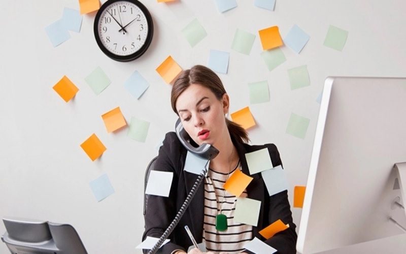 Nhân viên tổng vụ