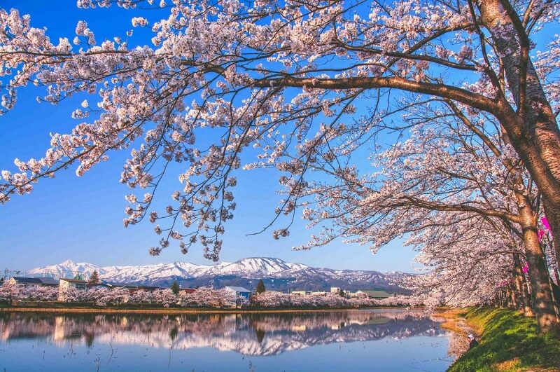 Nhật Bản được mệnh danh là gì?