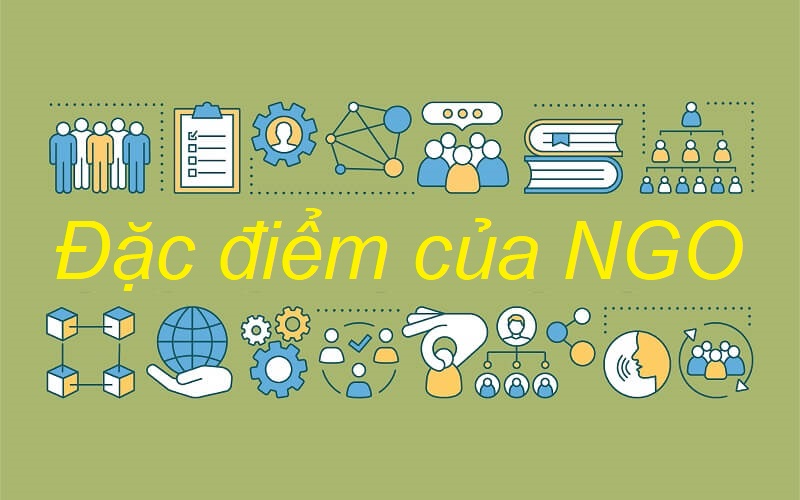 Đặc điểm của NGO thể hiện ra sao