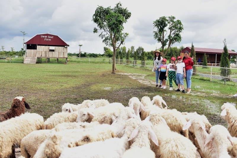 Những lưu ý cần nhớ khi viết mẫu đơn xin xây dựng trang trại