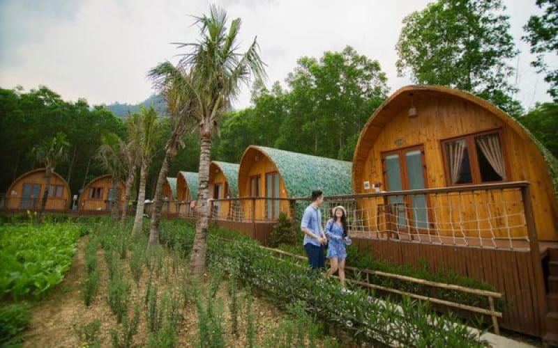 Homestay tồn tại những hạn chế nào