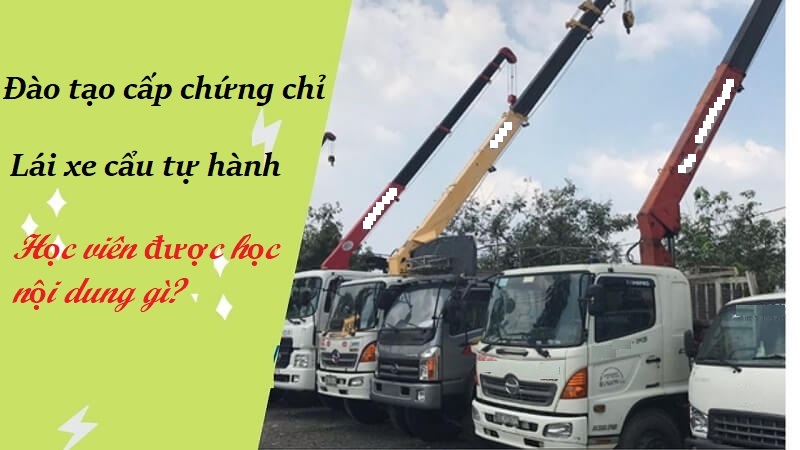 Lái xe cẩu tự hành - nội dung khóa đào tạo cấp chứng chỉ