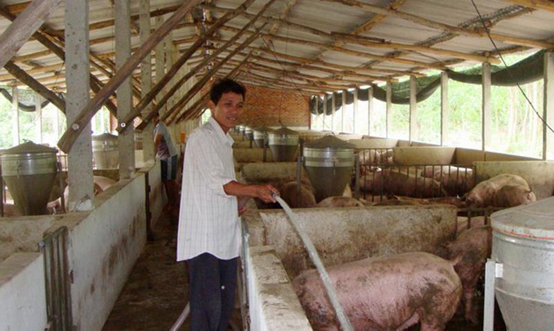 Nội dung phần đầu đơn xin xây dựng trang trại