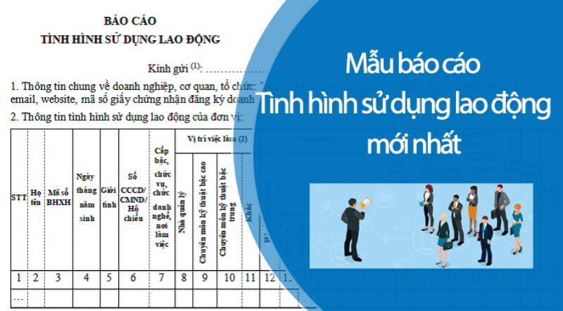 Nội dung phần đầu trong báo cáo tình hình sử dụng lao động