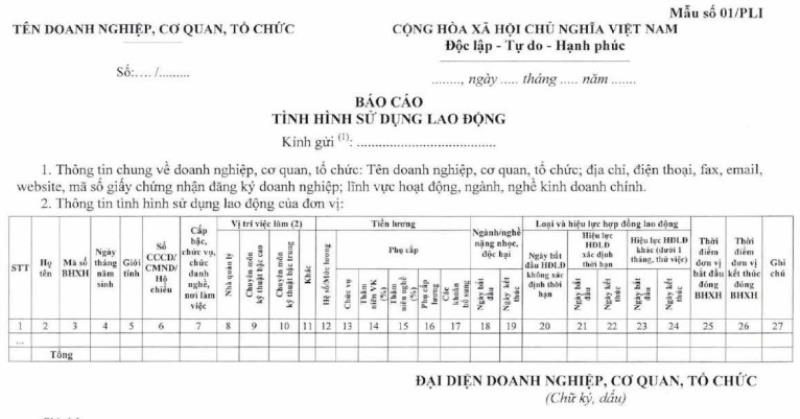 Nội dung phần thân trong báo cáo tình hình sử dụng lao động