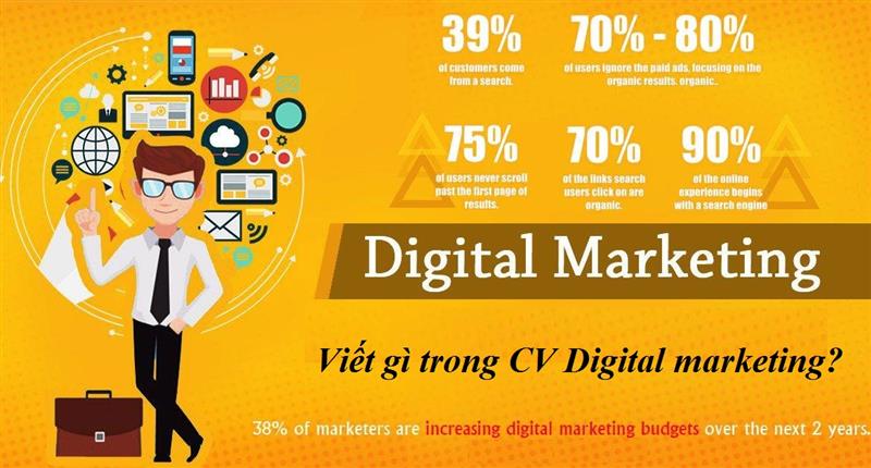 Nội dung trong CV Digital marketing