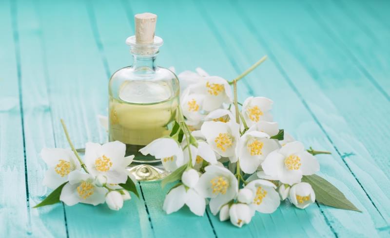 Hoa nhài được sử dụng để chiết xuất nước hoa