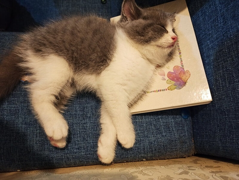 Chỗ ở và vật dụng cần thiết