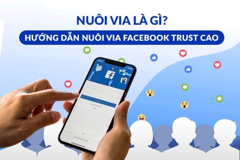 Cách nuôi VIA trên Facebook bằng điện thoại