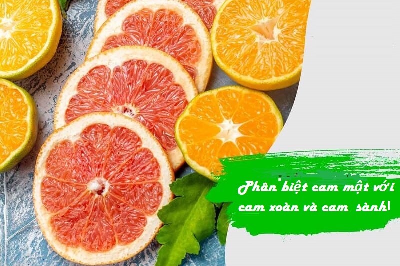Phân biệt cam mật với các loại cam khác