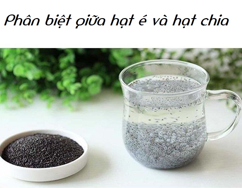 Phân biệt hạt é với hạt chia