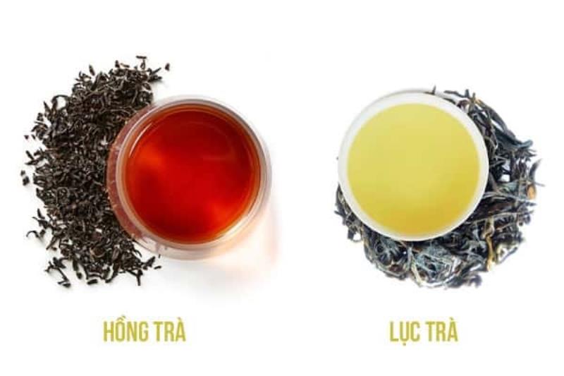 So sánh lục trà và hồng trà