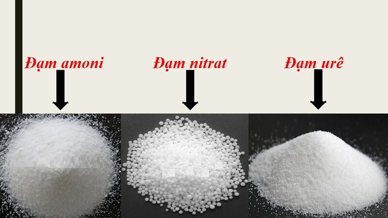 Phân bón đạm